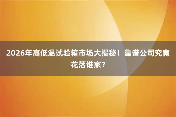 2026年高低温试验箱市场大揭秘！靠谱公司究竟花落谁家？