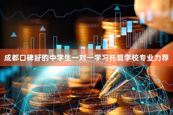 成都口碑好的中学生一对一学习托管学校专业力荐