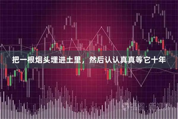 把一根烟头埋进土里,然后认认真真等它十年