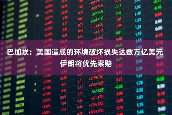 巴加埃:美国造成的环境破坏损失达数万亿美元 伊朗将优先索赔