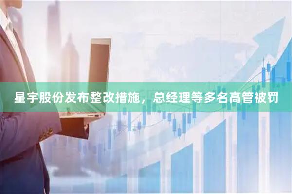 星宇股份发布整改措施，总经理等多名高管被罚